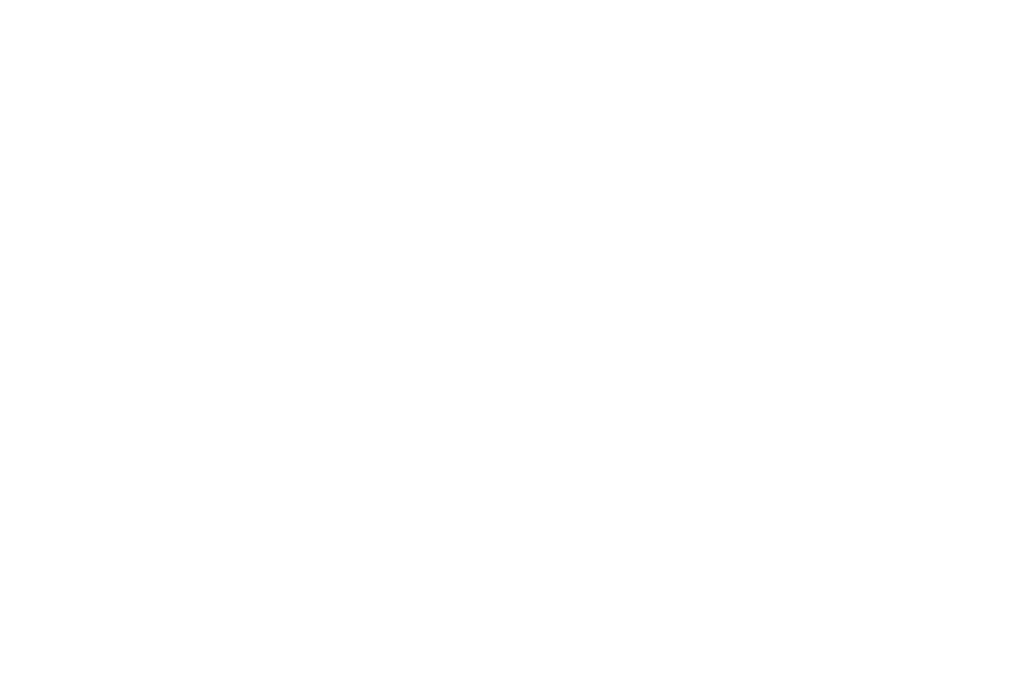 BLITZ Natural Extract Premium